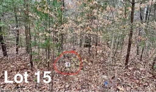 Photo #1 of LOT 15 Woods Haven, Stuart, VA 0.4 acres
