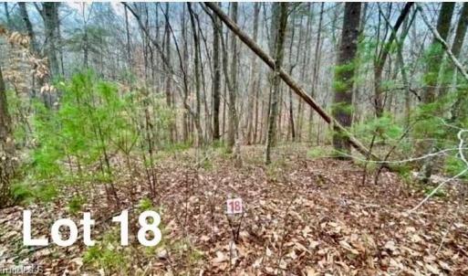 Photo #1 of Lot 18 Woods Haven, Stuart, VA 0.4 acres