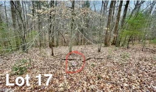 Photo #1 of LOT 17 Woods Haven, Stuart, VA 0.4 acres