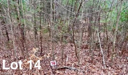 Photo #1 of LOT 14 Woods Haven, Stuart, VA 0.6 acres