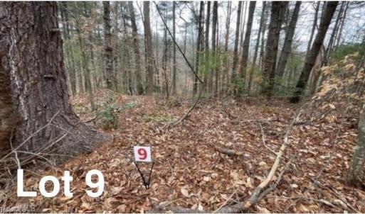 Photo #1 of LOT 9 Woods Haven, Stuart, VA 0.4 acres