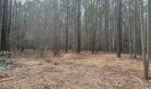 Photo #23 of Lot 8 Thompson, Seagrove, NC 11.0 acres