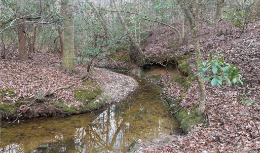 Photo #2 of Lot 8 Thompson, Seagrove, NC 11.0 acres
