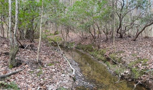 Photo #6 of Lot 8 Thompson, Seagrove, NC 11.0 acres