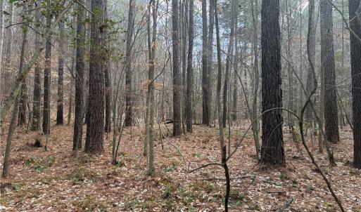 Photo #13 of Lot 8 Thompson, Seagrove, NC 11.0 acres