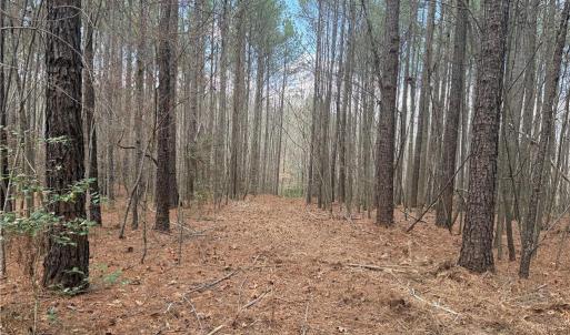 Photo #17 of Lot 8 Thompson, Seagrove, NC 11.0 acres