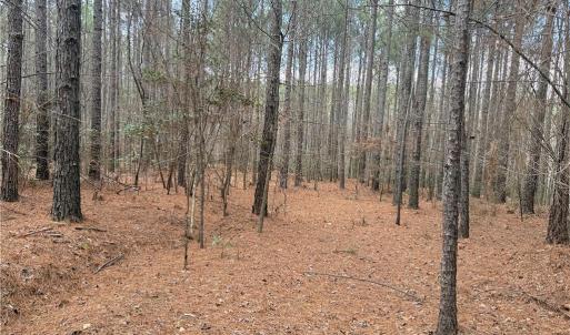 Photo #16 of Lot 8 Thompson, Seagrove, NC 11.0 acres