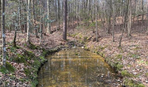 Photo #12 of Lot 8 Thompson, Seagrove, NC 11.0 acres