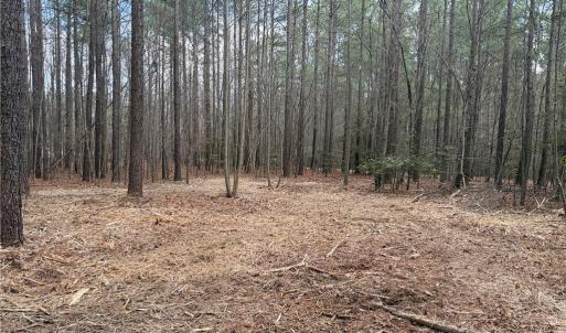Photo #22 of Lot 8 Thompson, Seagrove, NC 11.0 acres
