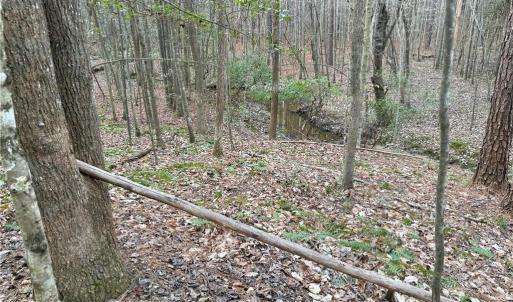Photo #7 of Lot 8 Thompson, Seagrove, NC 11.0 acres