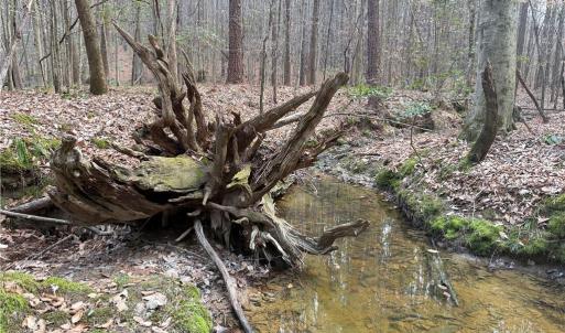 Photo #3 of Lot 8 Thompson, Seagrove, NC 11.0 acres