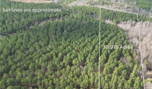 Photo #1 of Lot 8 Thompson, Seagrove, NC 11.0 acres