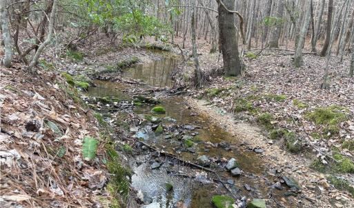 Photo #5 of Lot 8 Thompson, Seagrove, NC 11.0 acres