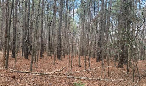 Photo #20 of Lot 8 Thompson, Seagrove, NC 11.0 acres