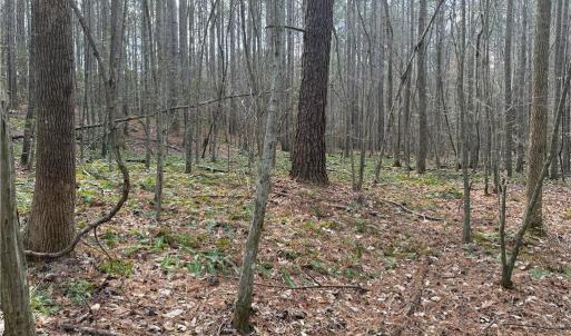 Photo #9 of Lot 8 Thompson, Seagrove, NC 11.0 acres