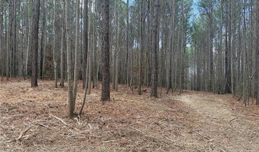 Photo #24 of Lot 8 Thompson, Seagrove, NC 11.0 acres