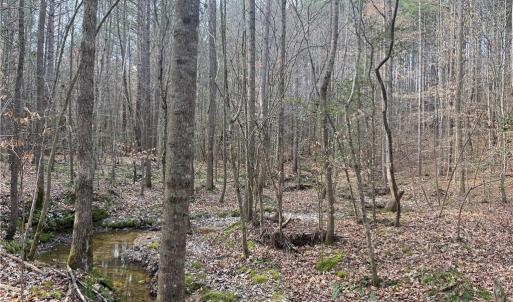 Photo #10 of Lot 8 Thompson, Seagrove, NC 11.0 acres