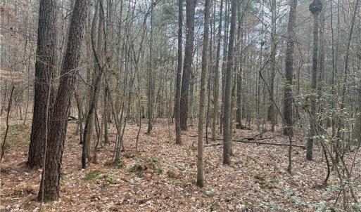 Photo #14 of Lot 8 Thompson, Seagrove, NC 11.0 acres