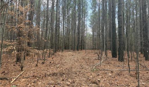 Photo #18 of Lot 8 Thompson, Seagrove, NC 11.0 acres