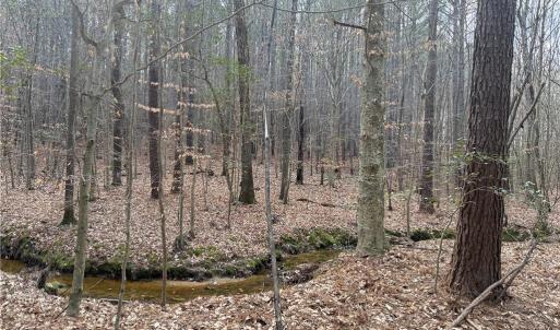 Photo #15 of Lot 8 Thompson, Seagrove, NC 11.0 acres