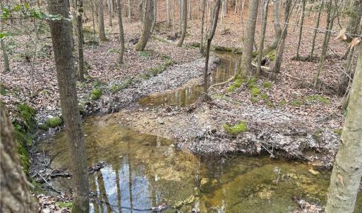 Photo #11 of Lot 8 Thompson, Seagrove, NC 11.0 acres