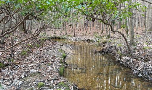 Photo #8 of Lot 8 Thompson, Seagrove, NC 11.0 acres