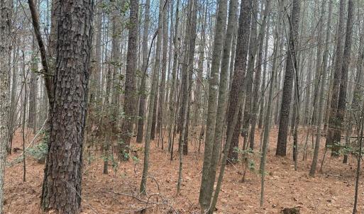 Photo #21 of Lot 8 Thompson, Seagrove, NC 11.0 acres