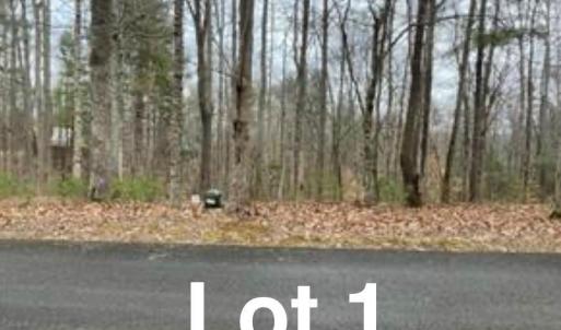 Photo #1 of LOT 1 Reserve, Stuart, VA 0.4 acres