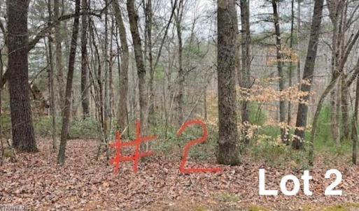 Photo #1 of LOT 2 Reserve, Stuart, VA 0.7 acres