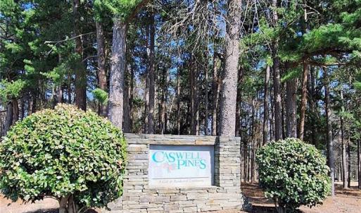 Welcome to Caswell Pines Golf Community!