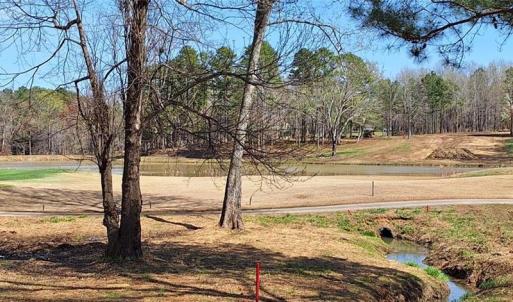 View of the 18th green and fairway with lot 54 in the upper right corner just past the lake.