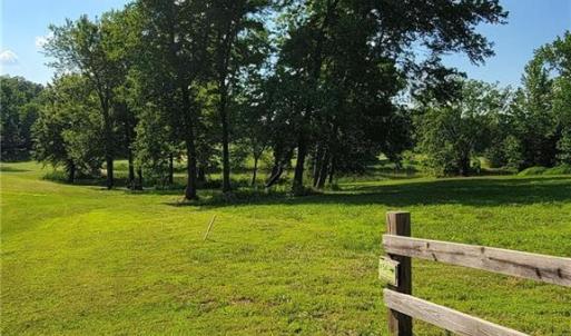 Seller photos of a side view of LOT 54 from the summer.