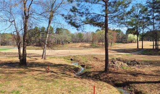 Another angle of the 18th green and fairway with lot 54 behind it just past the lake in the middle of the photo.