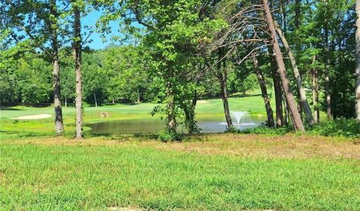 Seller photo showing the lake in Lot 54 at Caswell Pines.
