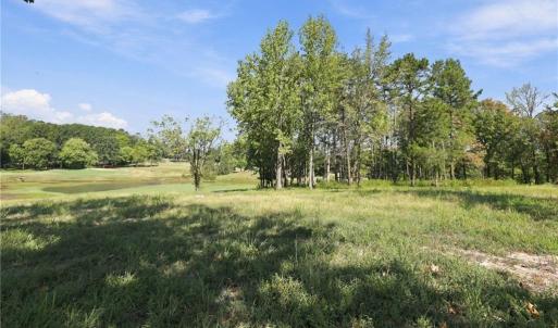 View of the vacant land.