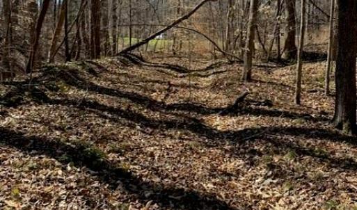 Photo #1 of NC Highway 801, Advance, NC 6.1 acres