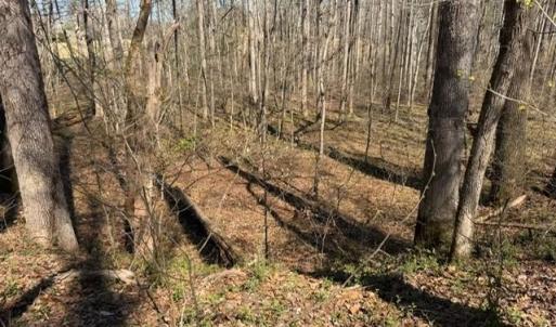 Photo #2 of NC Highway 801, Advance, NC 6.1 acres