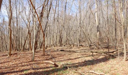 Photo #23 of 2482 Sisk, Lawsonville, NC 8.3 acres