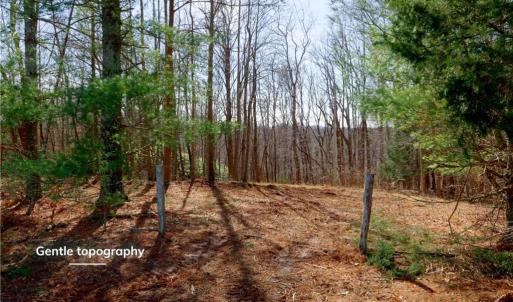 Photo #2 of 2482 Sisk, Lawsonville, NC 8.3 acres