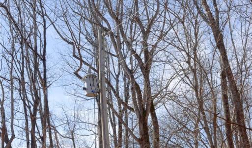 Photo #7 of 2482 Sisk, Lawsonville, NC 8.3 acres