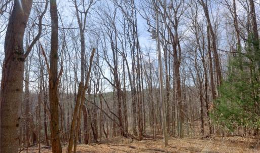 Photo #9 of 2482 Sisk, Lawsonville, NC 8.3 acres
