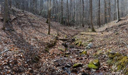 Photo #27 of 1284-1516 Tom Mix, Westfield, NC 95.0 acres