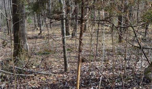 Photo #17 of 1284-1516 Tom Mix, Westfield, NC 95.0 acres