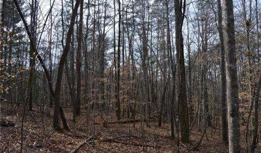Photo #32 of 1284-1516 Tom Mix, Westfield, NC 95.0 acres