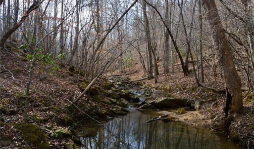 Photo #37 of 1284-1516 Tom Mix, Westfield, NC 95.0 acres