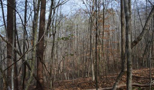 Photo #35 of 1284-1516 Tom Mix, Westfield, NC 95.0 acres