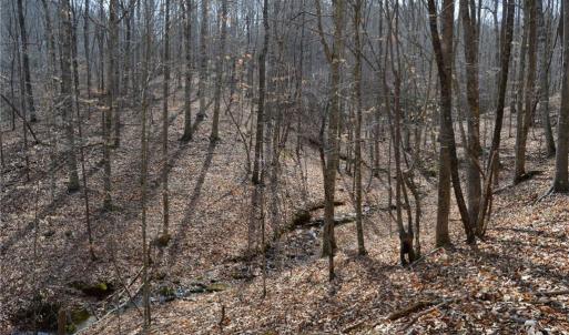 Photo #31 of 1284-1516 Tom Mix, Westfield, NC 95.0 acres