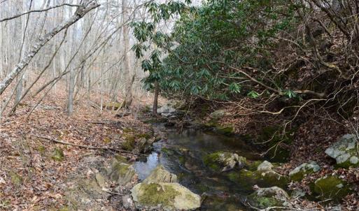 Photo #39 of 1284-1516 Tom Mix, Westfield, NC 95.0 acres