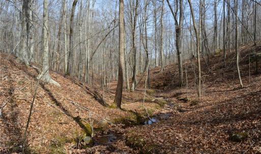 Photo #25 of 1284-1516 Tom Mix, Westfield, NC 95.0 acres