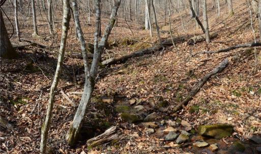 Photo #23 of 1284-1516 Tom Mix, Westfield, NC 95.0 acres